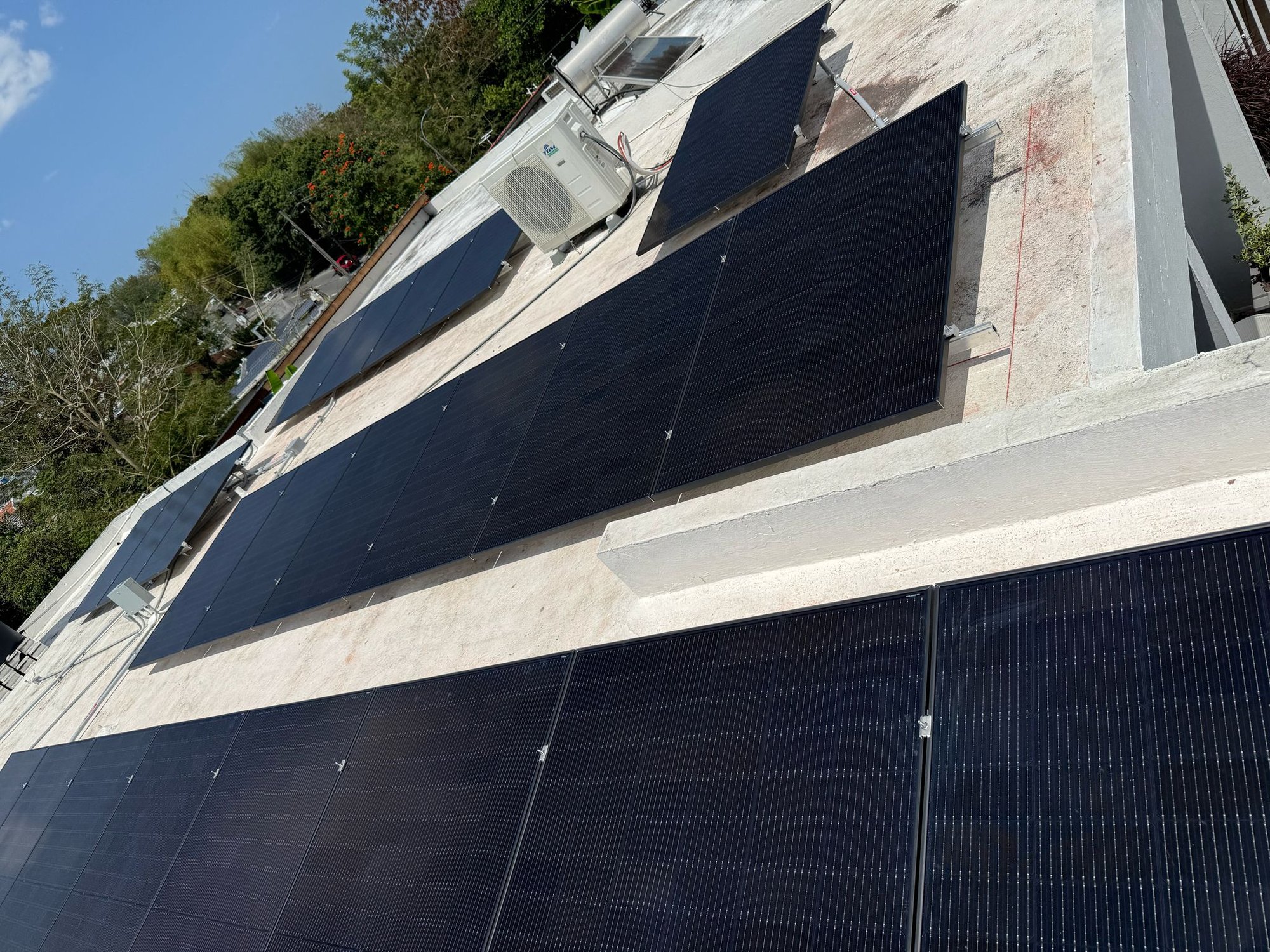 Imagen de WhatsApp 2025-08-14 a las 20.38.53_275a08c6